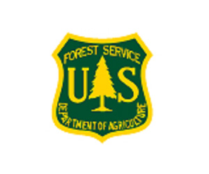 Clients-forest-service